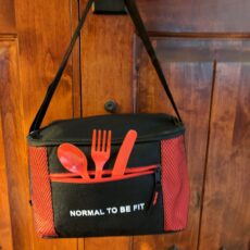 Lunch Cooler Bag